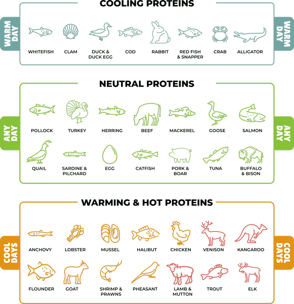 A chart of different types of animals

Description automatically generated