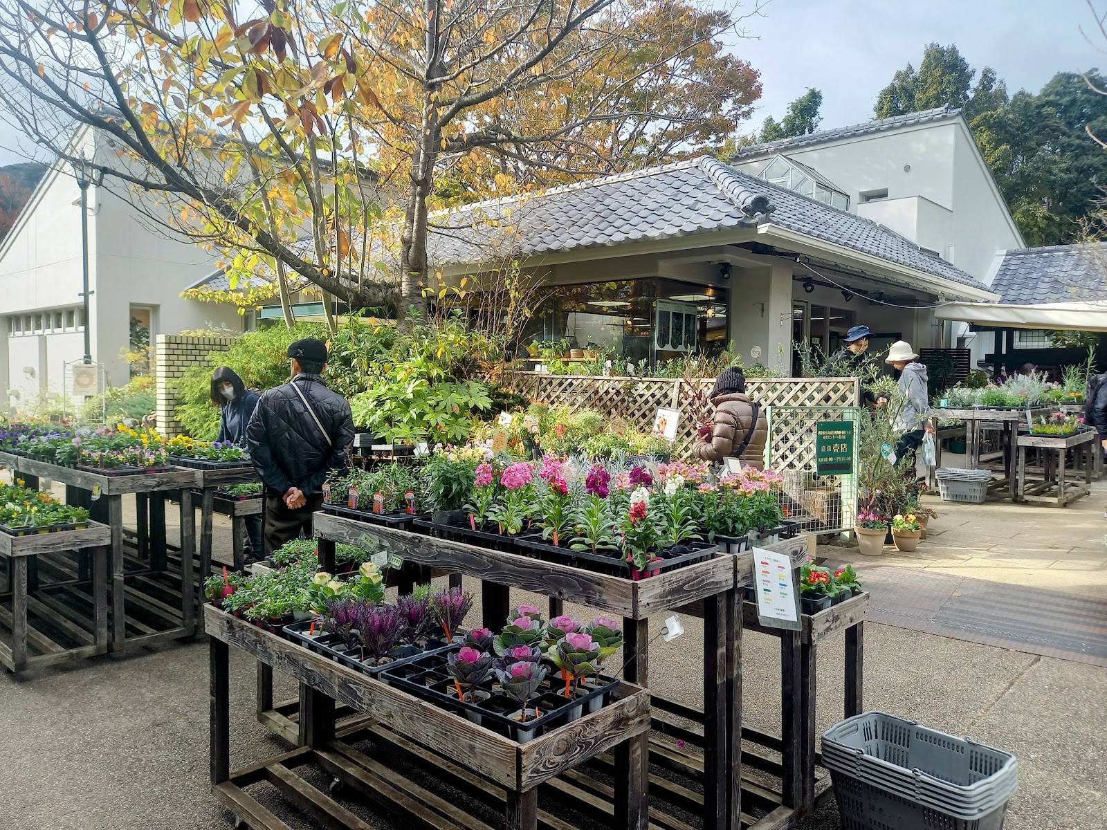 ガーデンセンターでは花苗を購入できます。