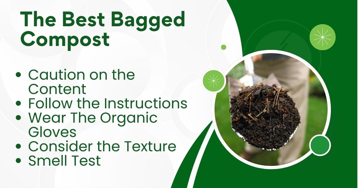 The Best Bagged Compost