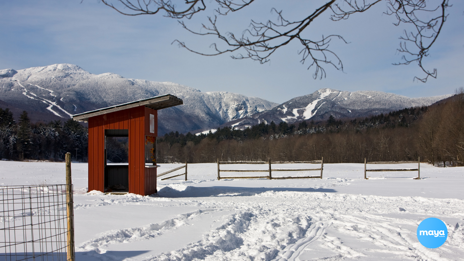 Stowe Winter Carnival