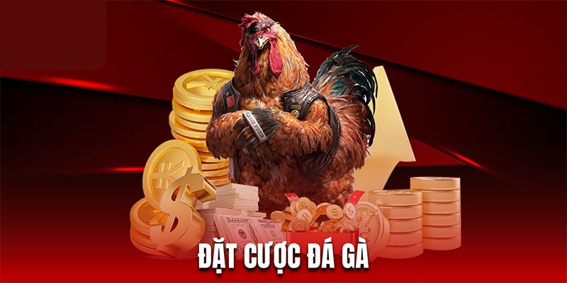 Loại hình đá gà truyền thống tại 188bet 