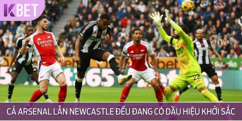 Phong độ và thành tích - Phân tích chi tiết cho Arsenal vs Newcastle United