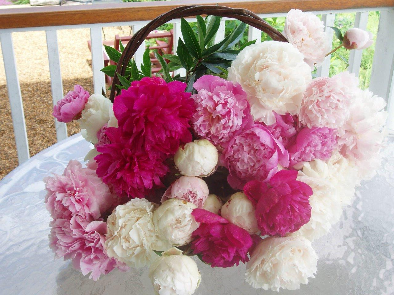 A basket of pink and white flowersDescription automatically generated