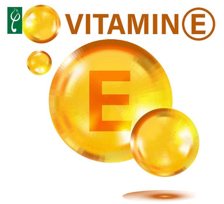 Vitamin E làm chậm quá trình lão hóa và kích thích tái tạo tế bào