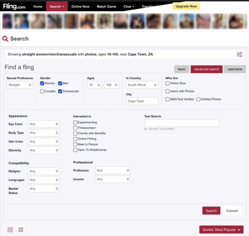 fling.com dating site profile searches feature