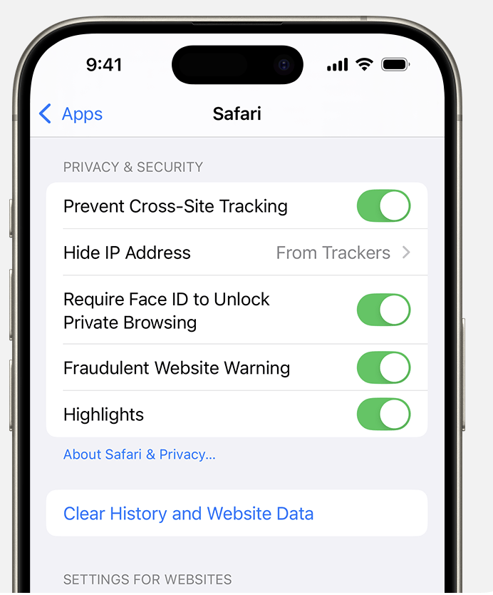 clear safari cache for system data