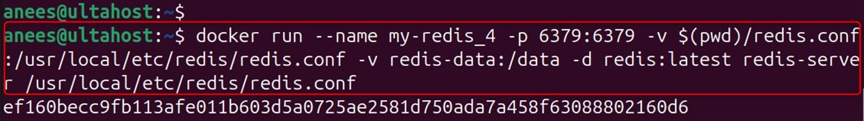 mount the configuration file into the container
