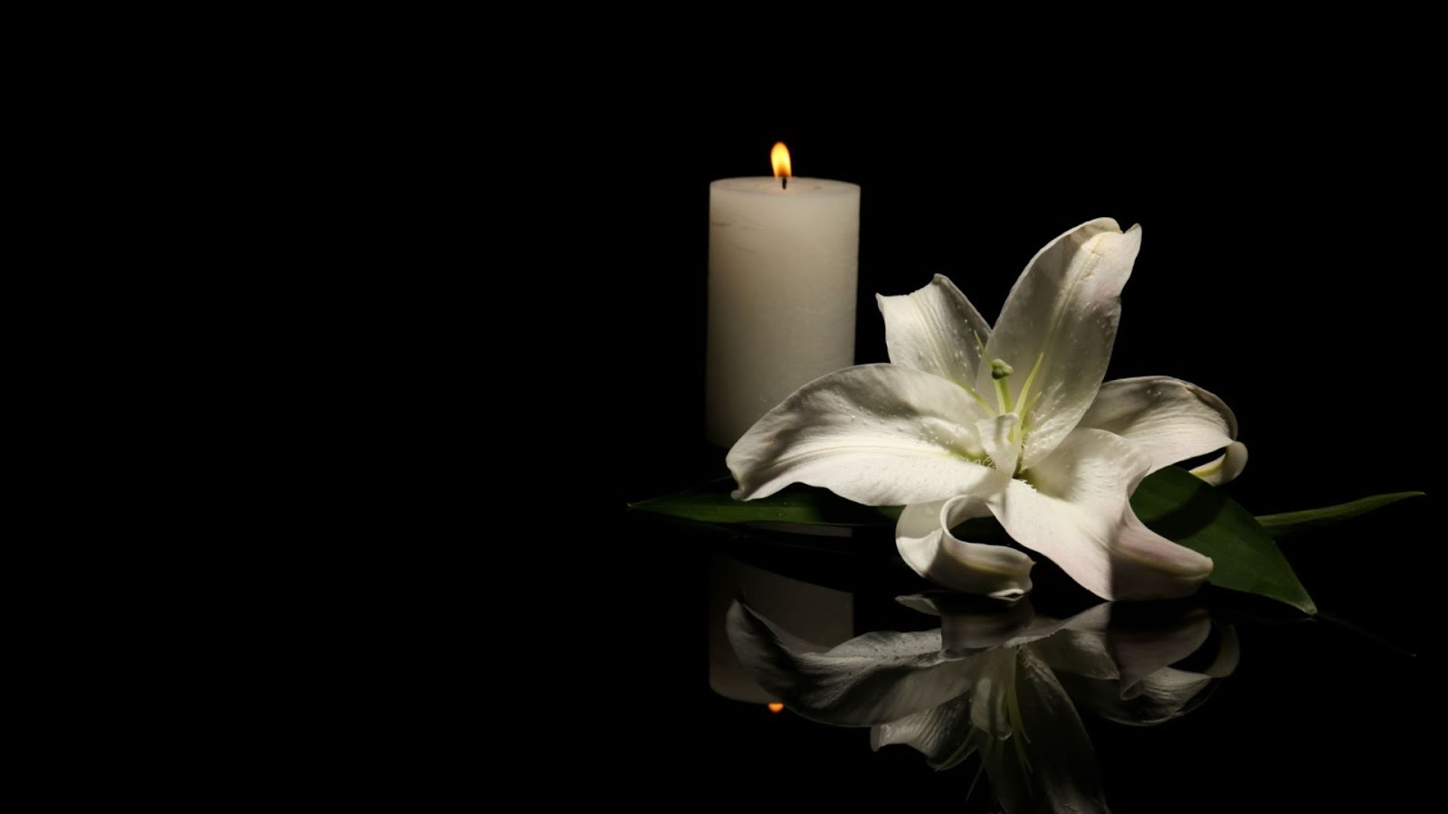 Sorrow is commonplace. Every human creature will experience it desperately at one time or another.&nbsp;