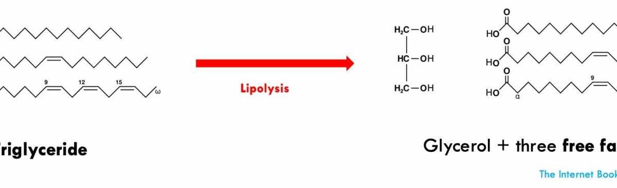 Viêm tụy cấp tăng triglyceride máu The Internet Book of Critical Care