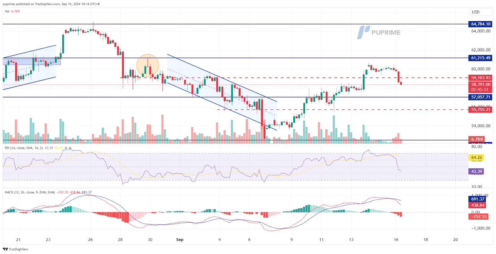 BTC/USD price chart 16 September 2024