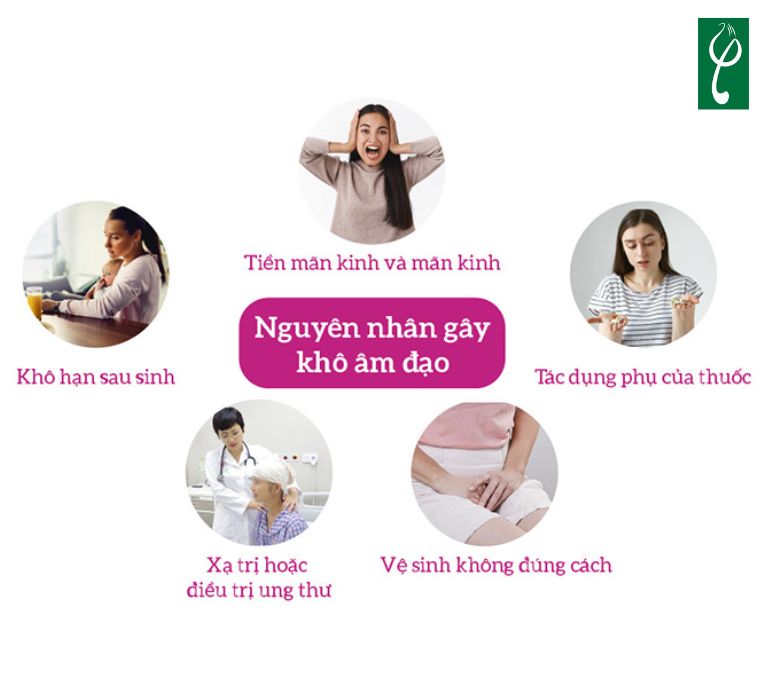 Những nguyên nhân gây khô âm đạo