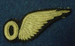 http://www.ww2wings.com/wings/britainraf/observer/images/michaellongrafobserverfrtsm.jpg