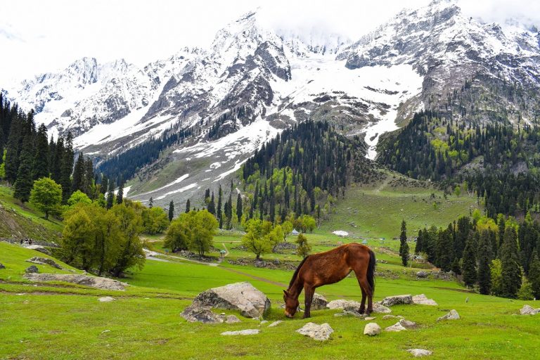 Sonamarg Travel Guide