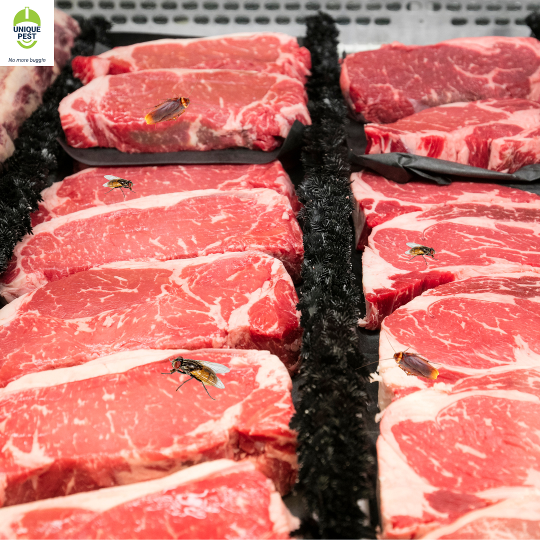 pest control in meat shop
