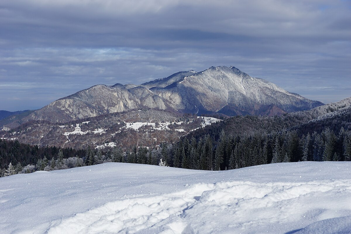 Postăvarul massif located in Brașov