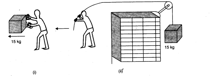 NCERT Solutions for Class 11 Physics Chapter 6 Work Energy and Power Q5