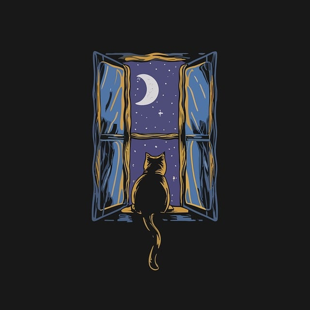 cat, moon, window