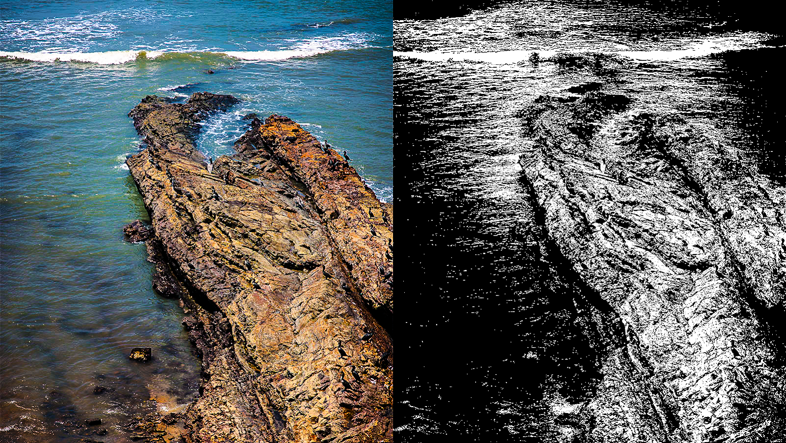 Two identical images, one in color and one in black and white.