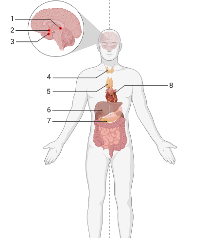 https://uchebnik.mos.ru/cms/system/atomic_objects/files/013/195/951/original/image034_mesh.png