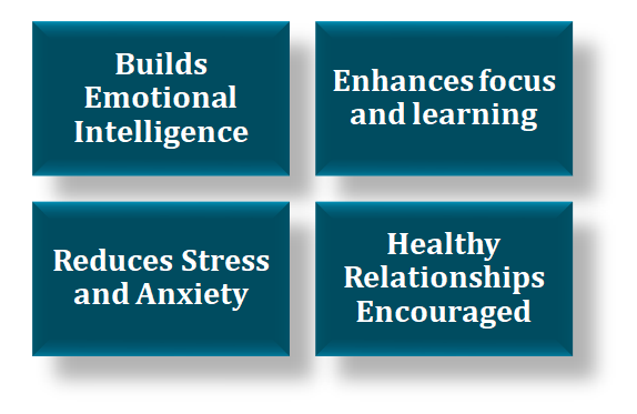  Emotional Resilience Matters in school