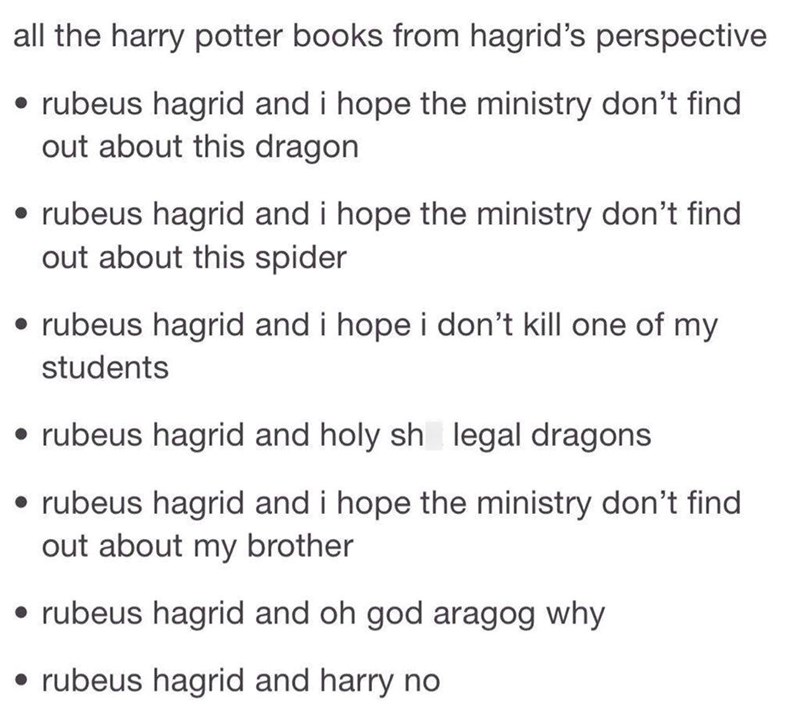 all the harry potter books from hagrid's perspective ⚫rubeus hagrid and i hope the ministry don't find out about this dragon • rubeus hagrid and i hope the ministry don't find out about this spider ⚫ rubeus hagrid and i hope i don't kill one of my students rubeus hagrid and holy sh legal dragons ⚫ rubeus hagrid and i hope the ministry don't find out about my brother rubeus hagrid and oh god aragog why • rubeus hagrid and harry no