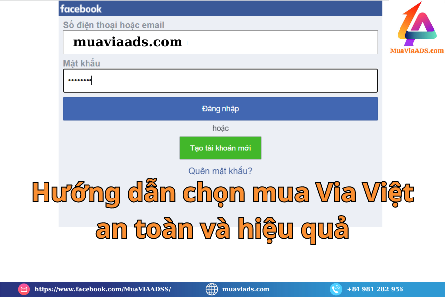 Hướng dẫn chọn mua Via Việt an toàn và hiệu quả