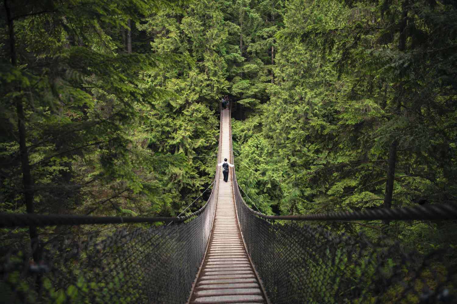 Lynn Canyon Suspension Bridge