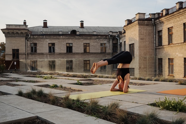 Urban Retreats: The Art of City Zen