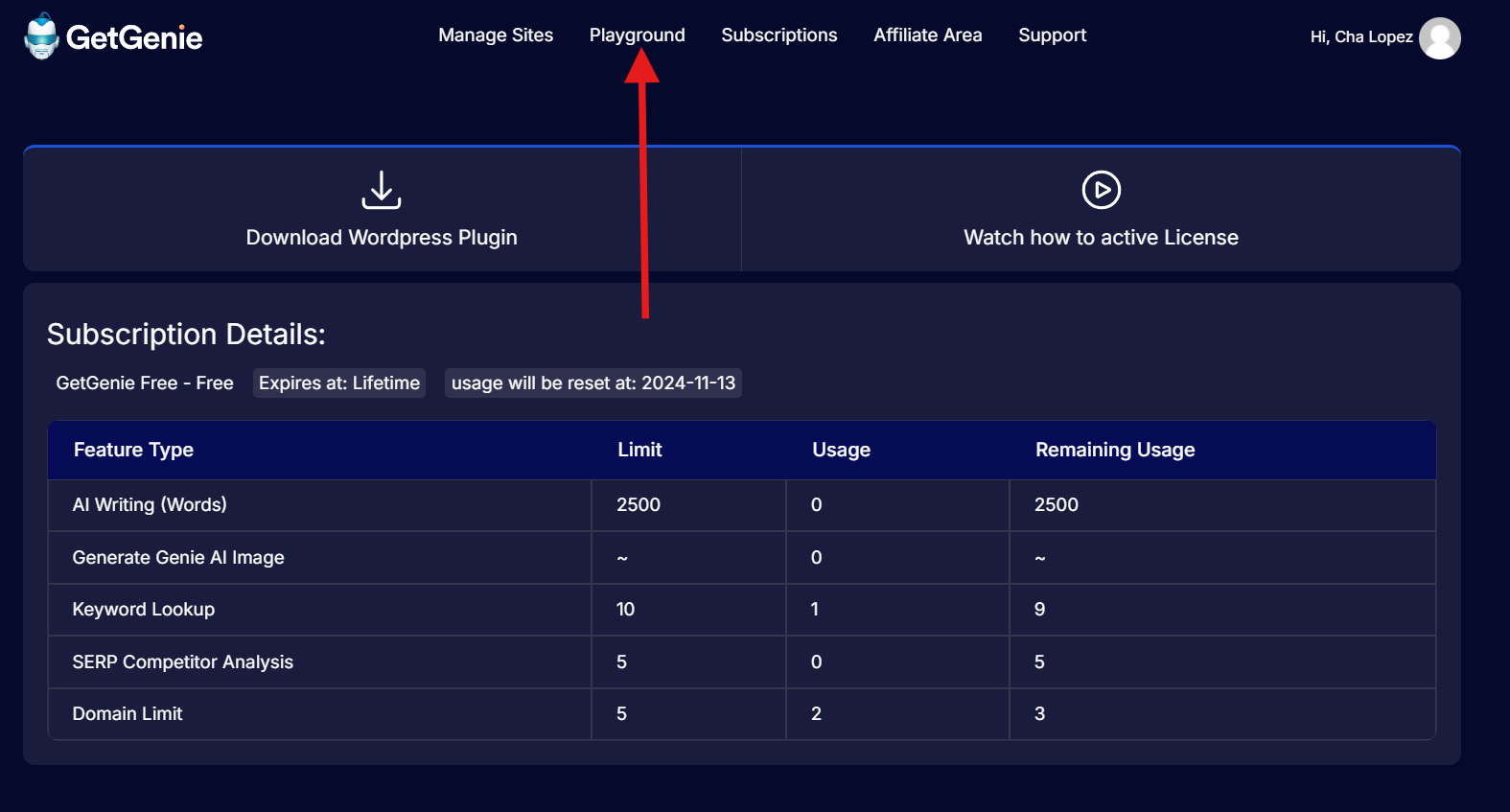 Keyword Research with Genie Playground