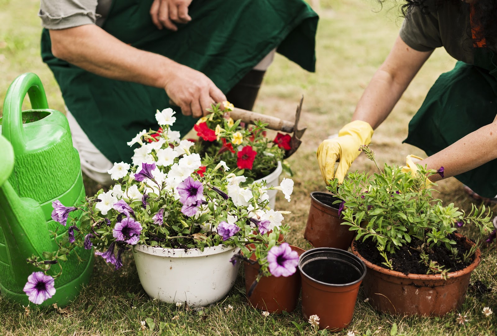 Gardening as Therapy