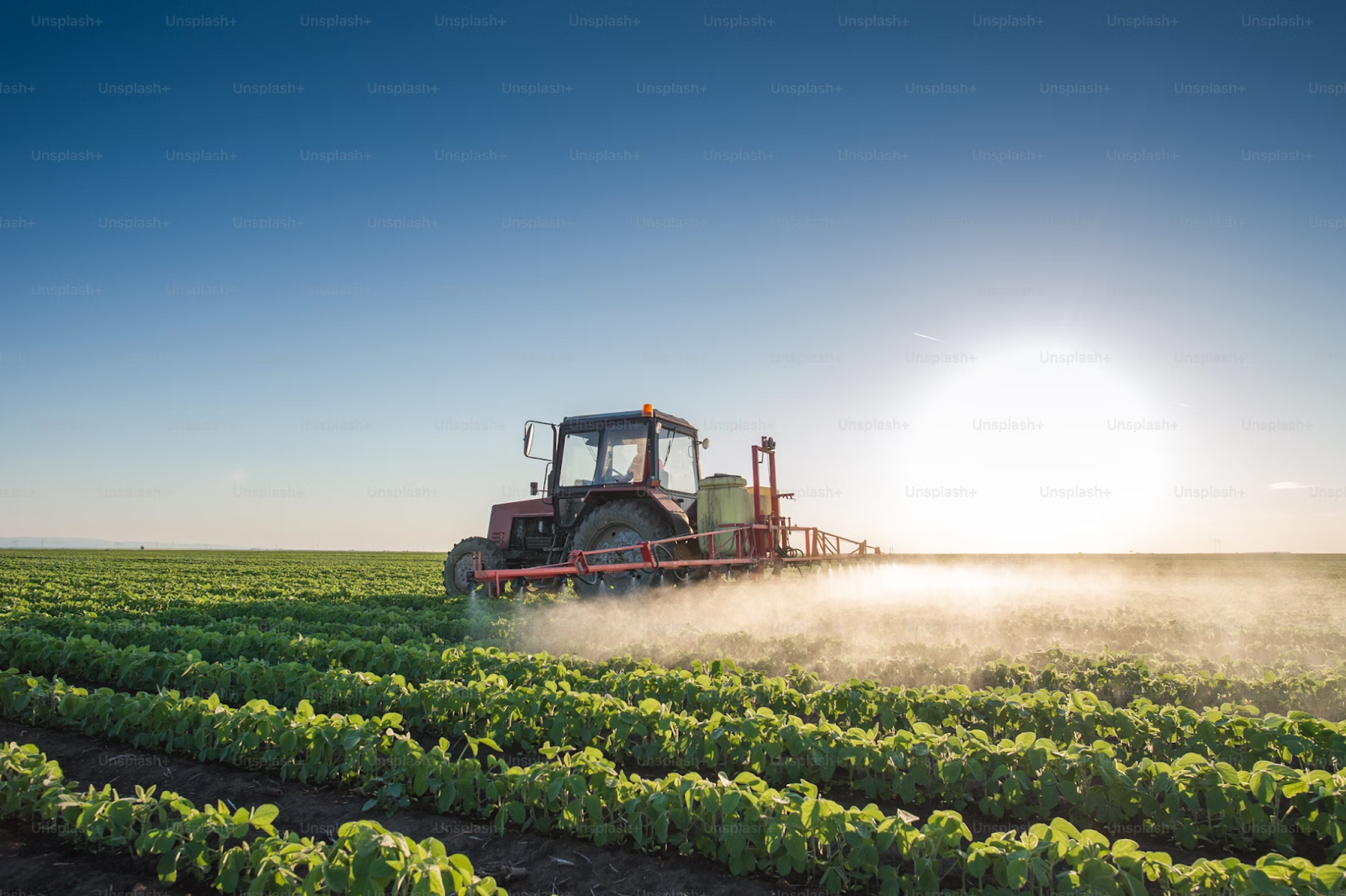 6. Cunoștințe și experiență agricolă