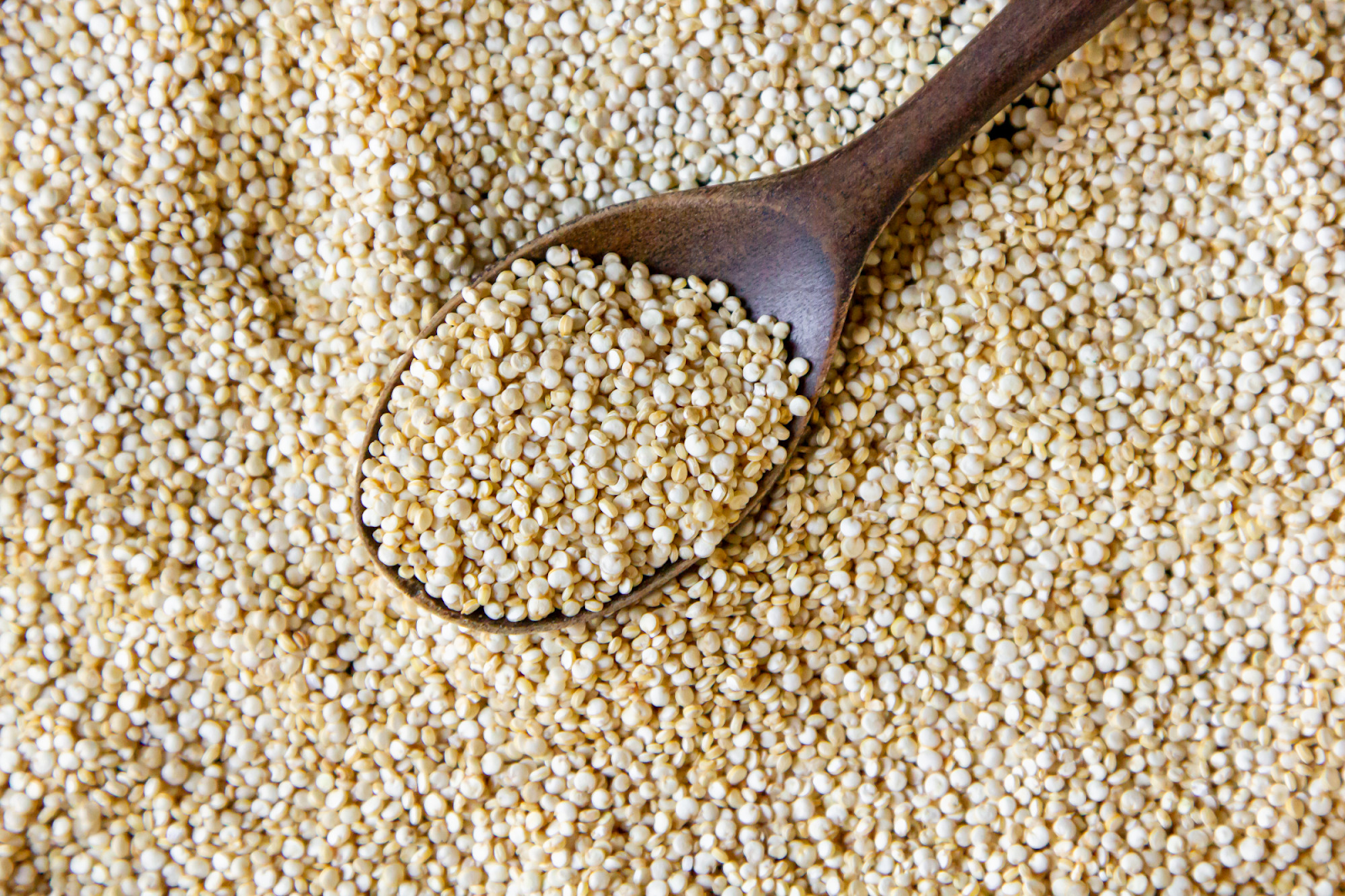 What is Jowar?
