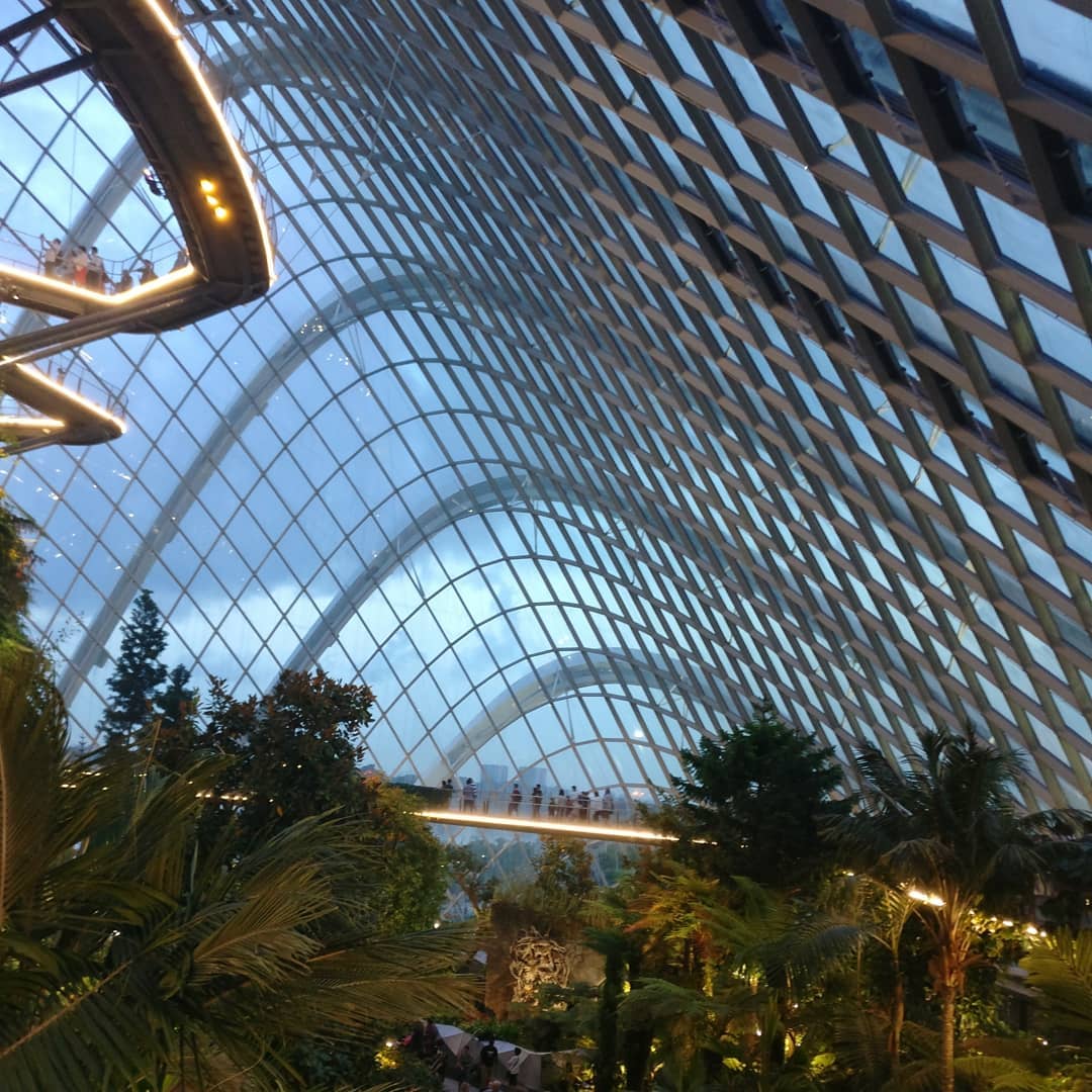 Cloud Forest and Flower Dome