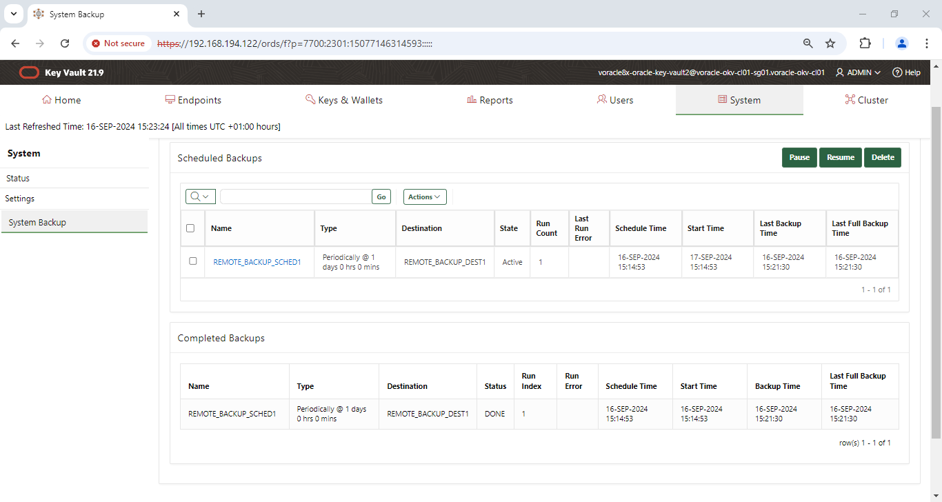 System Backup - Google Chrome