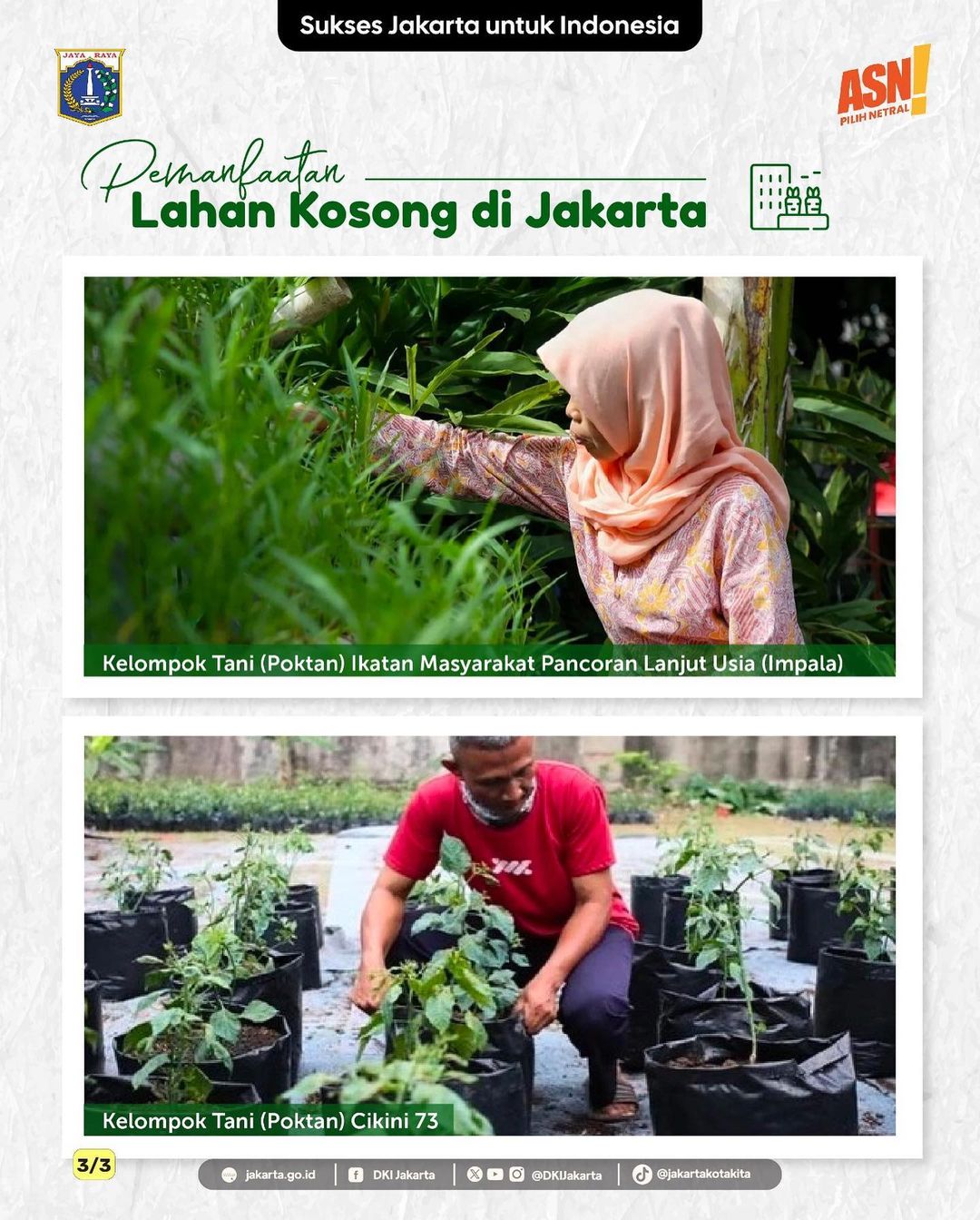 Kelompok Tani (Poktan) di Jakarta. Sumber:&nbsp;@kotajaktim