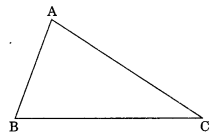 The Triangles and its Properties Class 7 Extra Questions Maths Chapter 6