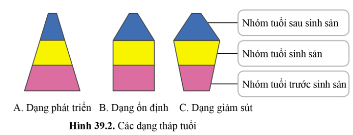 BÀI 39 - QUẦN THỂ SINH VẬT