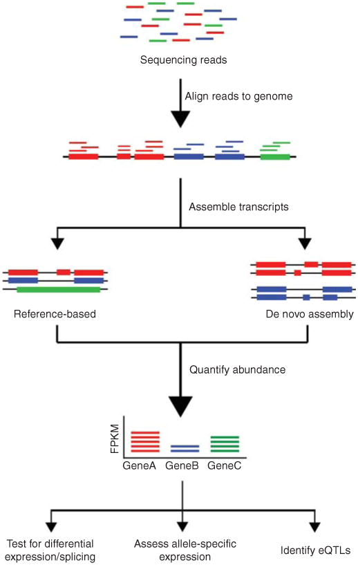 Preparation for RNA-Seq Data Analysis