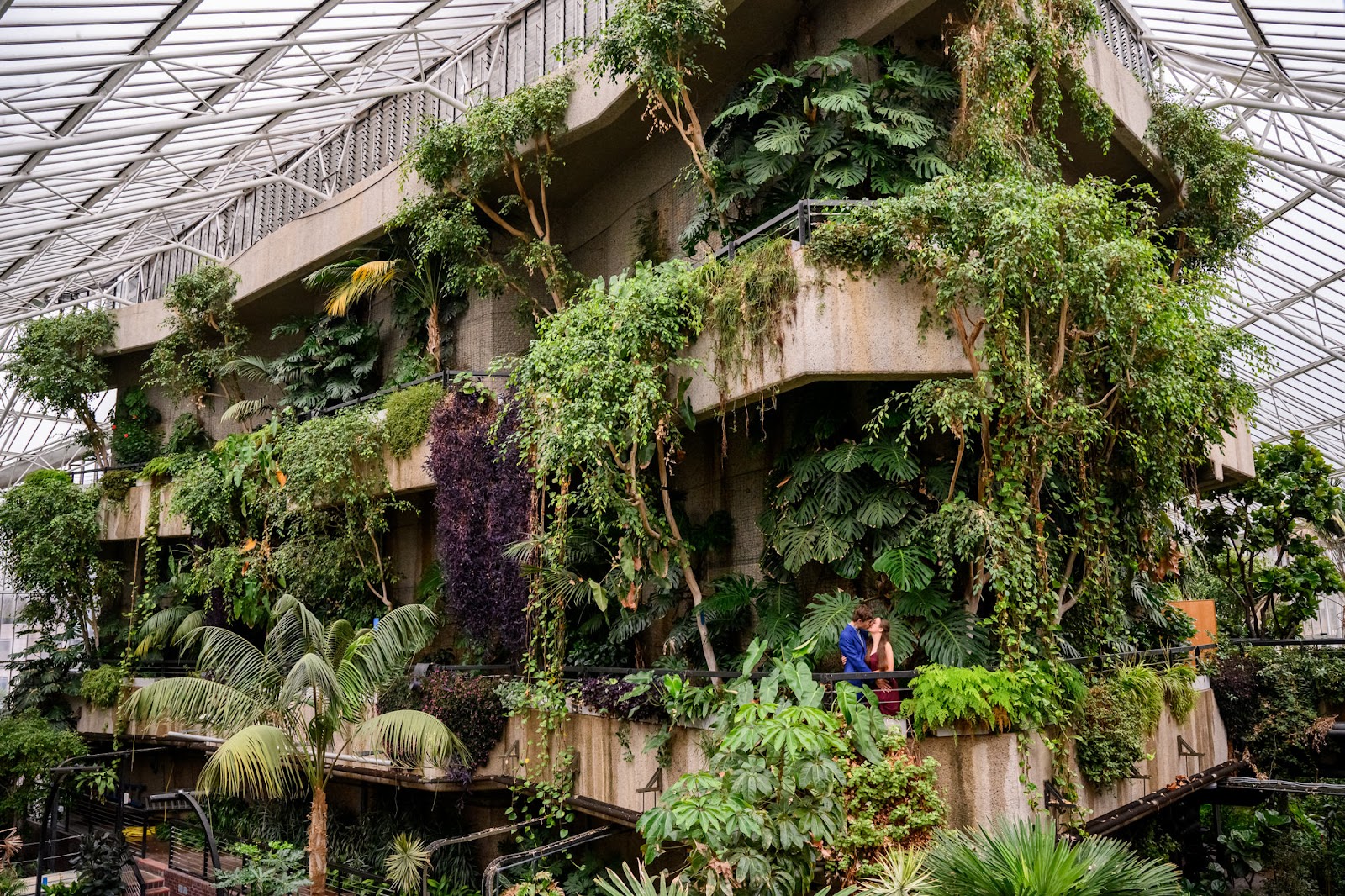A couple kissing in the Barbican Conservatory in London