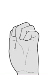 A hand with a fist

Description automatically generated