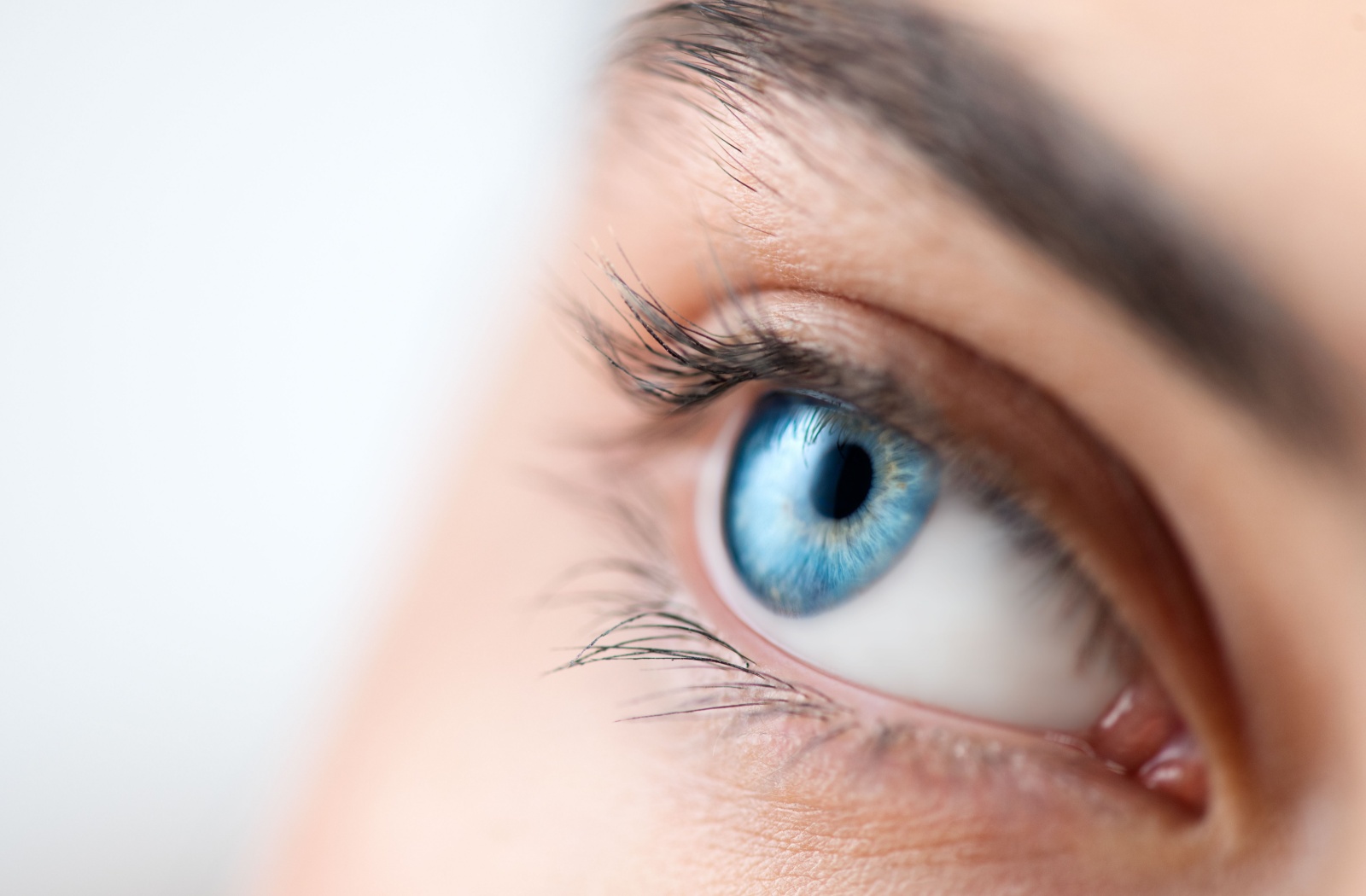 A close-up of an eye. The cornea, the front surface of the eye, is perfectly round.