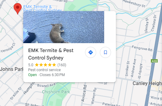 Why Termite Treatment Sydney is Essential for Homeowners