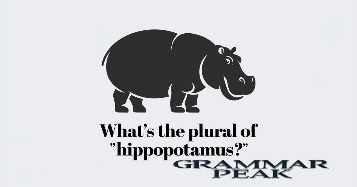 What’s the Plural of “Hippopotamus”?