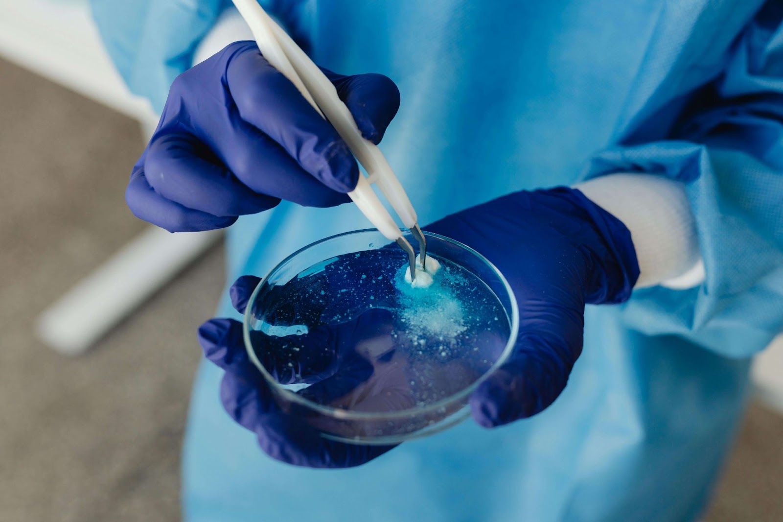 A mold inspector wearing blue gloves placing samples on a Petri dish.