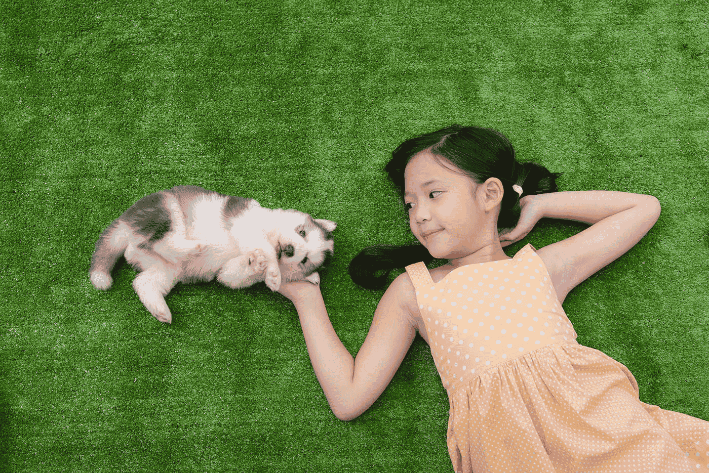 Summer photoshoot of a child lying on ground with her pet