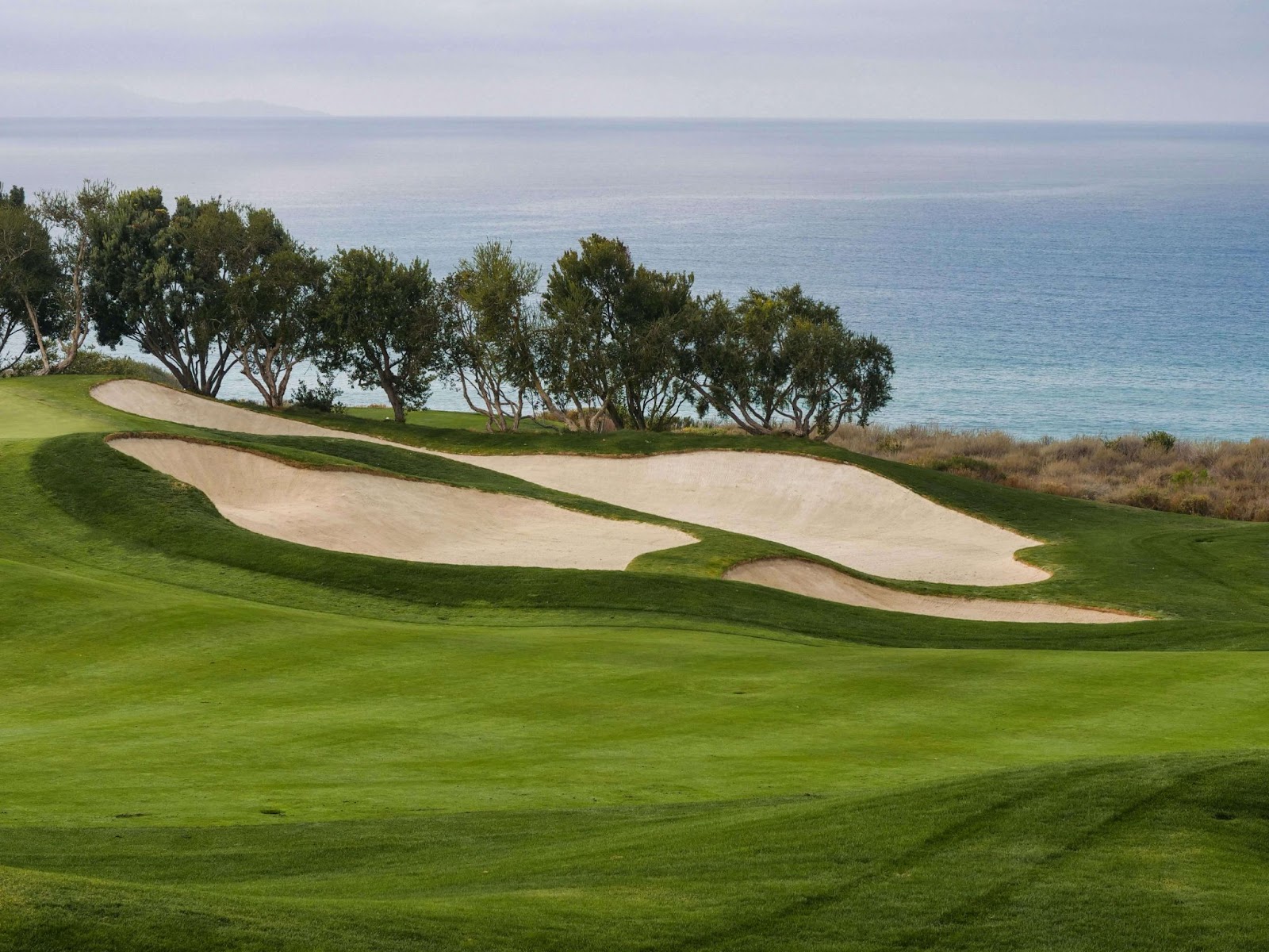 oceanside golf with hazards
