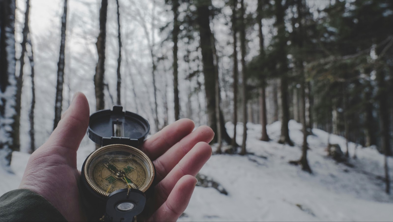 A compass in the forest is super oldschool when you compare it to AI. 