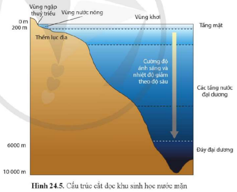 BÀI 24. CHU TRÌNH SINH - ĐỊA - HÓA VÀ SINH QUYỂN