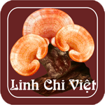 linh chi việt