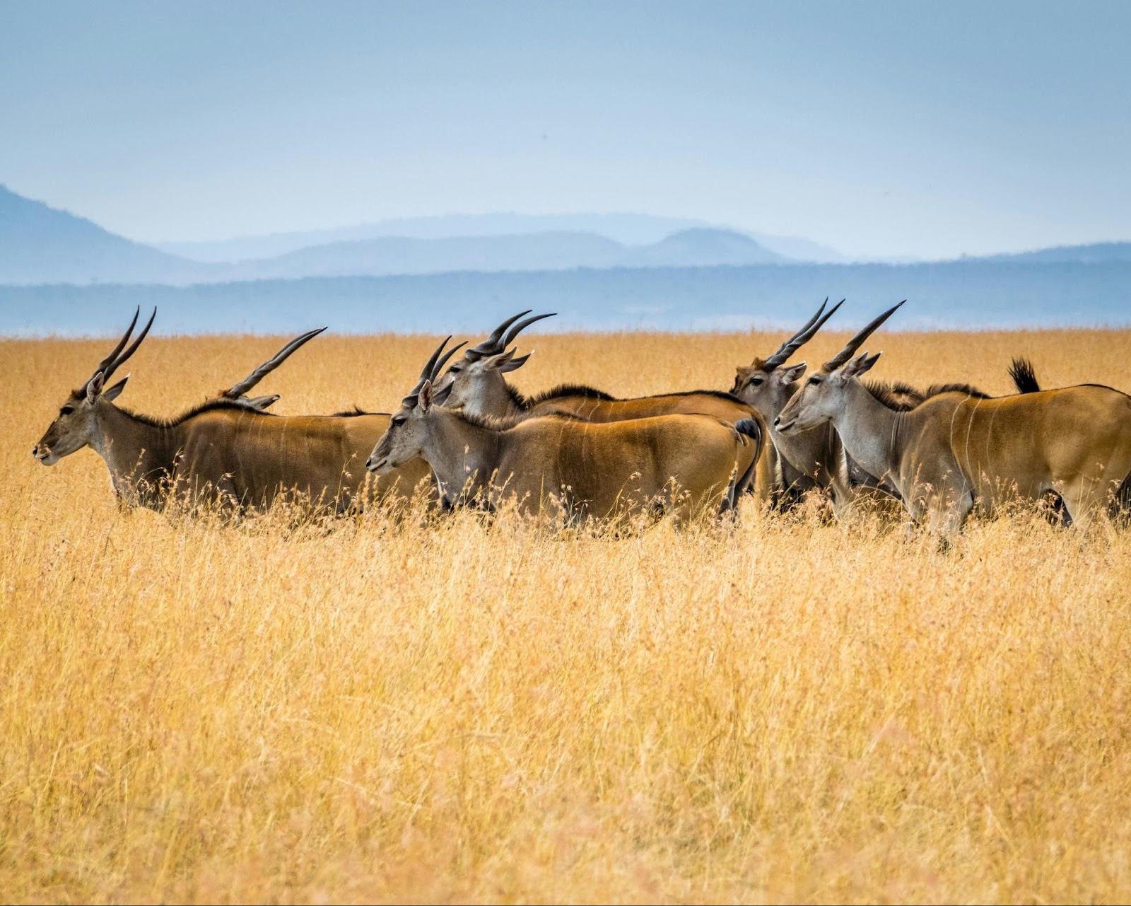 Wildlife sanctuary surrounded by natural beauty